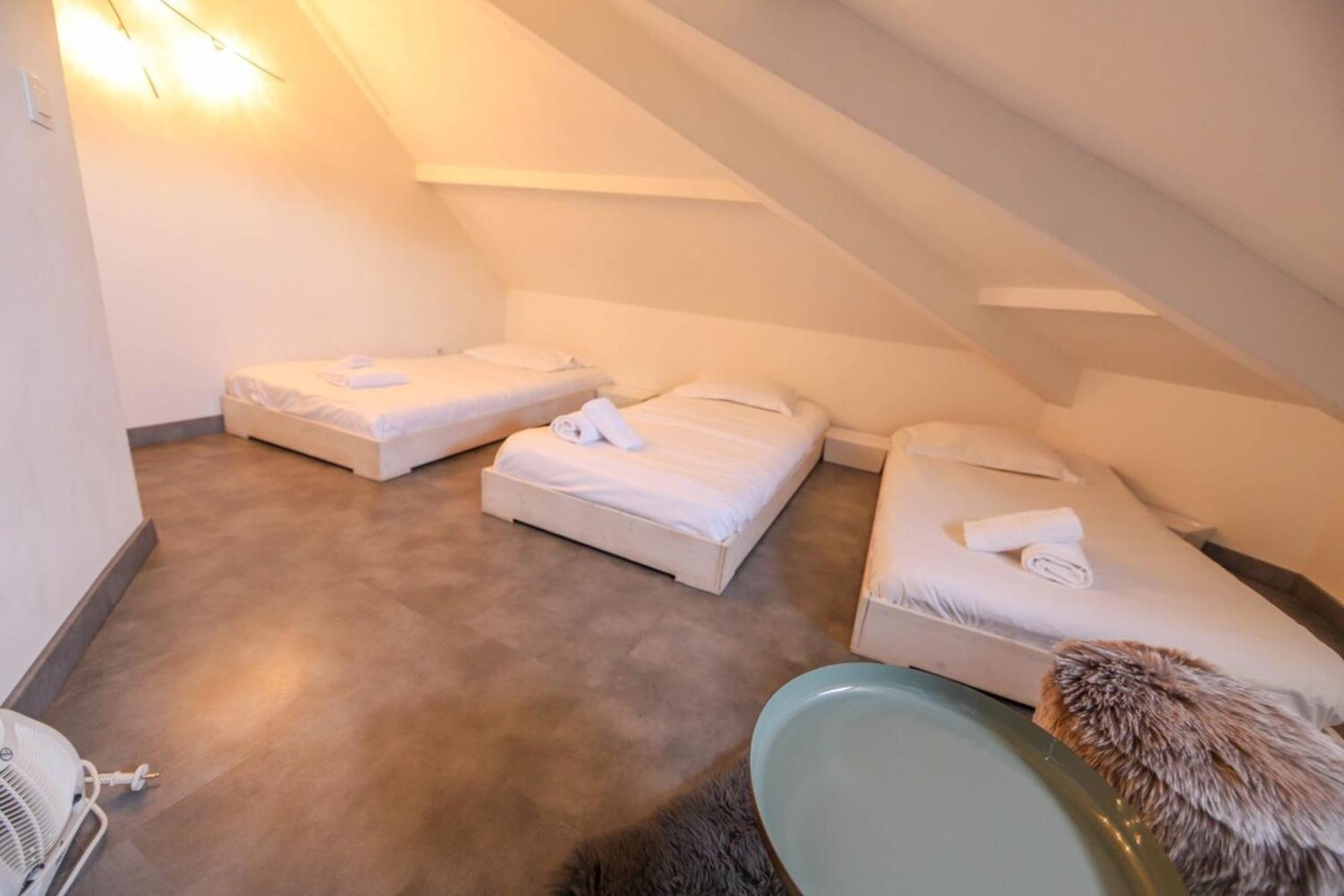 2 Bd Apartment With Sauna In The Center Of Annecy Luaran gambar